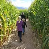Wagner's Farmland Experience photo
