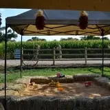 Wagner's Farmland Experience photo
