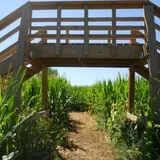 Wagner's Farmland Experience photo