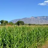 Wagner's Farmland Experience photo