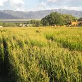 Wagner's Farmland Experience photo