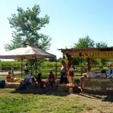 Wagner's Farmland Experience photo