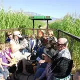 Wagner's Farmland Experience photo