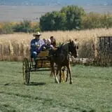 Wagner's Farmland Experience photo
