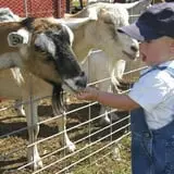 Wagner's Farmland Experience photo