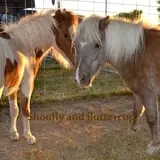 Wagner's Farmland Experience photo