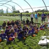 Wagner's Farmland Experience photo