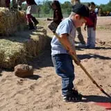Wagner's Farmland Experience photo