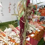 Connecticut Garlic & Harvest Festival photo