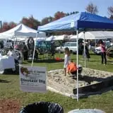 Connecticut Garlic & Harvest Festival photo