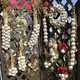 Connecticut Garlic & Harvest Festival photo