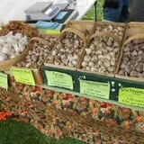 Connecticut Garlic & Harvest Festival photo