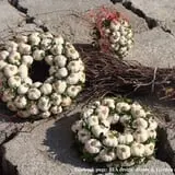 Connecticut Garlic & Harvest Festival photo