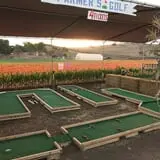Tanaka Farms Pumpkin Patch photo