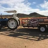 Tanaka Farms Pumpkin Patch photo