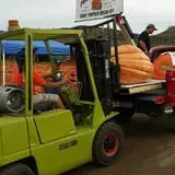 Tanaka Farms Pumpkin Patch photo