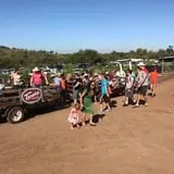 Tanaka Farms Pumpkin Patch photo