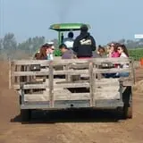 Tanaka Farms Pumpkin Patch photo
