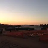 Tanaka Farms Pumpkin Patch photo