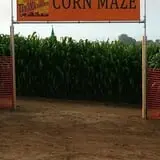 Tanaka Farms Pumpkin Patch photo