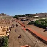 Tanaka Farms Pumpkin Patch photo