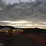 Tanaka Farms Pumpkin Patch photo