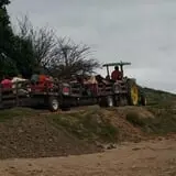 Tanaka Farms Pumpkin Patch photo