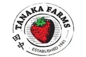 Tanaka Farms Pumpkin Patch