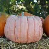 Ashland Produce photo