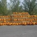 Ashland Produce photo