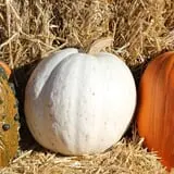 Ashland Produce photo