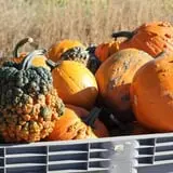 Ashland Produce photo