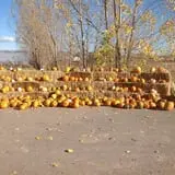 Ashland Produce photo