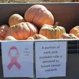 Ashland Produce photo