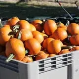 Ashland Produce photo
