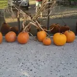 Ashland Produce photo