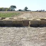 Ashland Produce photo