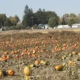 Ashland Produce photo