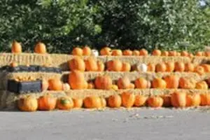 Ashland Produce