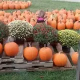 3 Bee Farms photo