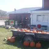 3 Bee Farms photo