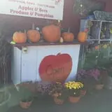 3 Bee Farms photo