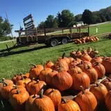 3 Bee Farms photo