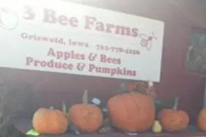 3 Bee Farms