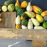 Zane's Clodbuster Farms photo