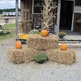 Zane's Clodbuster Farms photo