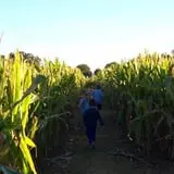 Zane's Clodbuster Farms photo