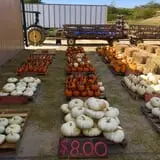 Zane's Clodbuster Farms photo