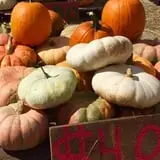 Zane's Clodbuster Farms photo