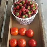 Zane's Clodbuster Farms photo